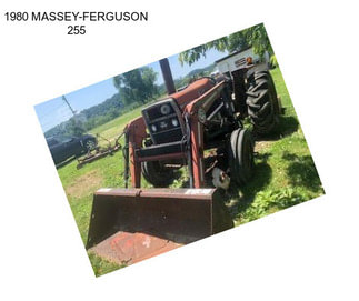 1980 MASSEY-FERGUSON 255