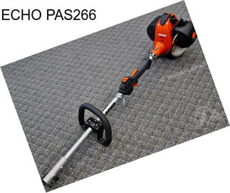 ECHO PAS266