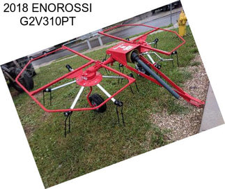 2018 ENOROSSI G2V310PT