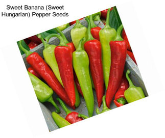 Sweet Banana (Sweet Hungarian) Pepper Seeds