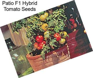 Patio F1 Hybrid Tomato Seeds