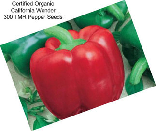 Certified Organic California Wonder 300 TMR Pepper Seeds