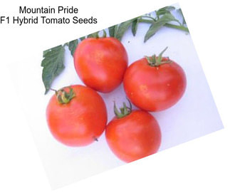 Mountain Pride F1 Hybrid Tomato Seeds
