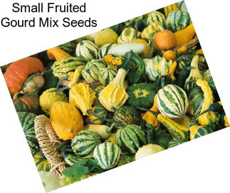 Small Fruited Gourd Mix Seeds