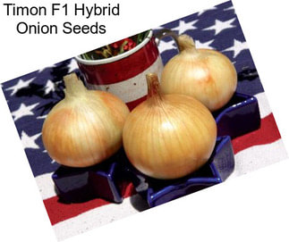 Timon F1 Hybrid Onion Seeds