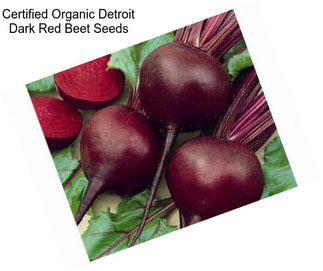 Certified Organic Detroit Dark Red Beet Seeds