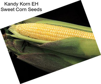 Kandy Korn EH Sweet Corn Seeds