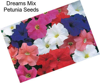 Dreams Mix Petunia Seeds