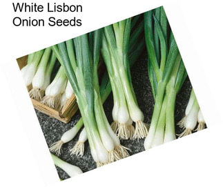 White Lisbon Onion Seeds