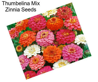 Thumbelina Mix Zinnia Seeds