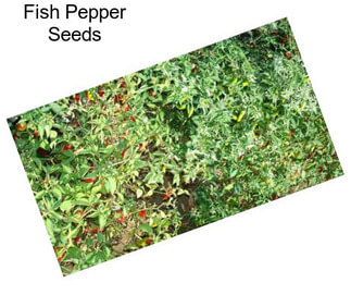 Fish Pepper Seeds