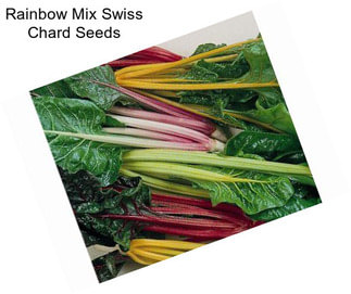 Rainbow Mix Swiss Chard Seeds