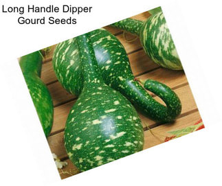 Long Handle Dipper Gourd Seeds