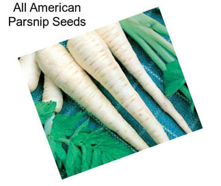 All American Parsnip Seeds
