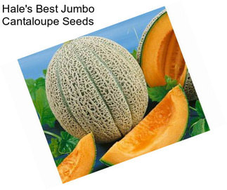 Hale\'s Best Jumbo Cantaloupe Seeds
