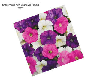 Shock Wave New Spark Mix Petunia Seeds