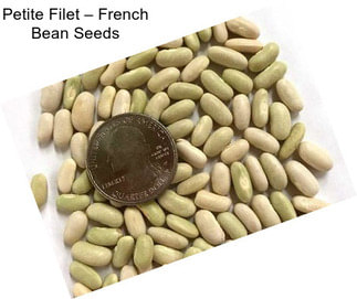 Petite Filet – French Bean Seeds