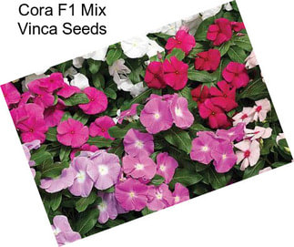 Cora F1 Mix Vinca Seeds