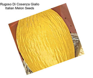 Rugoso Di Cosenza Giallo Italian Melon Seeds