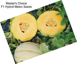 Master\'s Choice F1 Hybrid Melon Seeds
