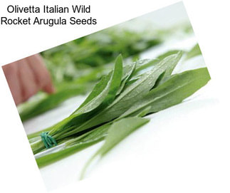Olivetta Italian Wild Rocket Arugula Seeds