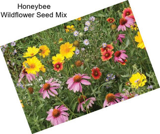 Honeybee Wildflower Seed Mix