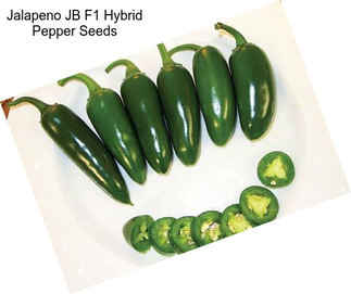 Jalapeno JB F1 Hybrid Pepper Seeds