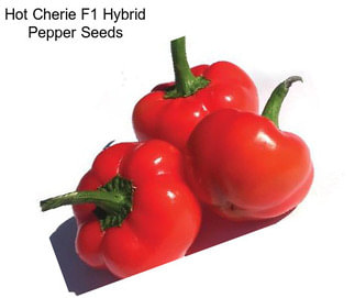 Hot Cherie F1 Hybrid Pepper Seeds