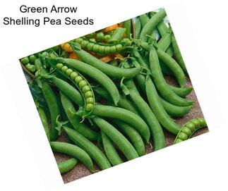 Green Arrow Shelling Pea Seeds