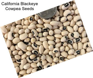 California Blackeye Cowpea Seeds