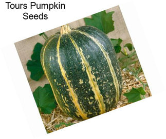 Tours Pumpkin Seeds