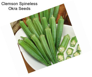 Clemson Spineless Okra Seeds