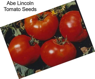 Abe Lincoln Tomato Seeds