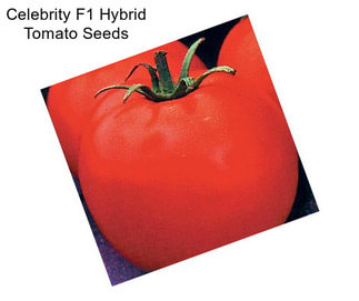 Celebrity F1 Hybrid Tomato Seeds