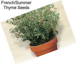 French/Summer Thyme Seeds