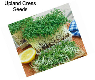 Upland Cress Seeds