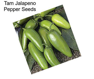 Tam Jalapeno Pepper Seeds