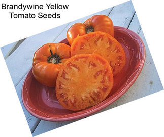 Brandywine Yellow Tomato Seeds