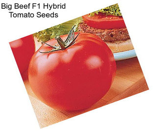 Big Beef F1 Hybrid Tomato Seeds