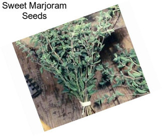 Sweet Marjoram Seeds