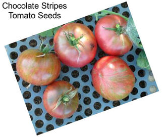 Chocolate Stripes Tomato Seeds