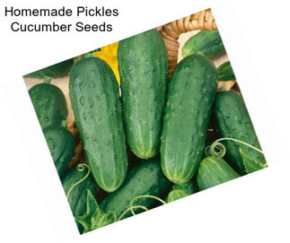 Homemade Pickles Cucumber Seeds