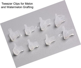 Tweezer Clips for Melon and Watermelon Grafting