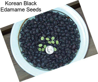 Korean Black Edamame Seeds