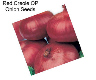 Red Creole OP Onion Seeds