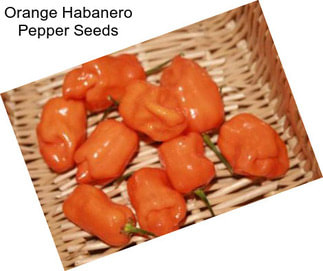 Orange Habanero Pepper Seeds