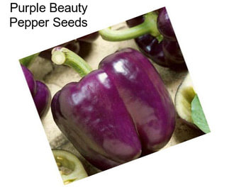 Purple Beauty Pepper Seeds