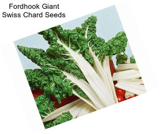 Fordhook Giant Swiss Chard Seeds