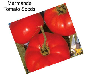 Marmande Tomato Seeds