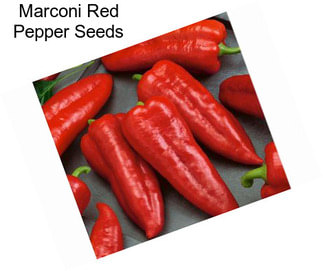 Marconi Red Pepper Seeds